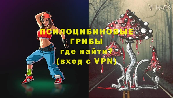соль ск Балахна